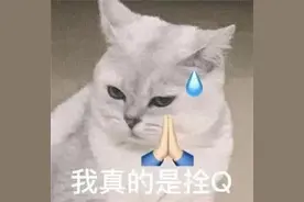 车内异味从哪里来？蜀黍教你几招去异味图片