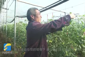 潍坊市潍城区：农民端起“金饭碗”生活幸福有奔头图片