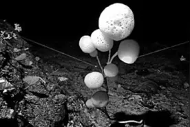 “科学”号，十年科考在深海图片