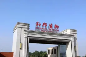 和邦生物2022年盈利38亿元，光伏板块开始兑现业绩｜看财报图片