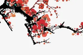 青未了｜梅花三弄图片