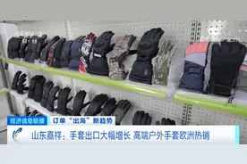 又一爆款！国产手套，在欧洲卖爆了！这一县，出口额超5亿元图片