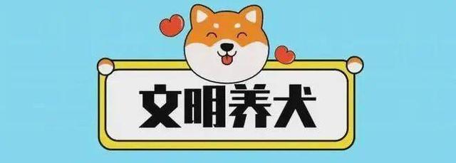 泰安市养犬管理条例 将于22年11月1日起施行 自由新闻