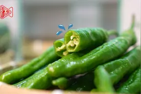 农博会小课堂③ | 这些新型辣椒，有啥特别之处？图片