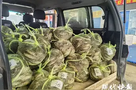 螃蟹大量上市进入最佳赏味期，苏州市场价格便宜了图片