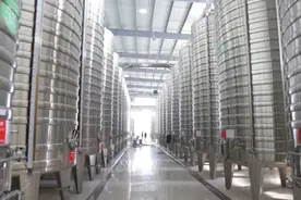 果然视频｜走进嘉桐酒庄，探访烟台苹果从好吃到好喝的“变形记”图片