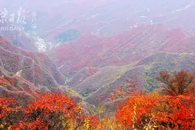 美图｜与坡峰岭仅隔几个山头！一条山脊步道盘活新赏红景区图片
