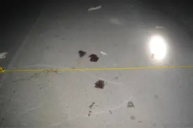 招远交警连夜排查数百辆车 侦破肇事逃逸案图片