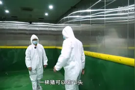 新华全媒+|坐电梯上楼、智能化投喂——探访现代化养猪新模式图片