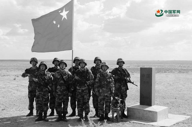 走近北疆边关的军马和军犬：“无言战友”与军人生死相依