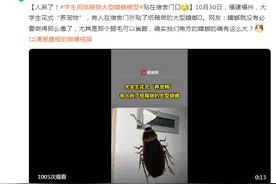 人麻了！大学生花式“养宠物”，用纸箱做大型蟑螂模型贴宿舍门口图片