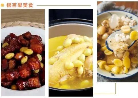 如何科学食用银杏果？这份指南记得收藏