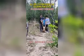八十斤狗子不肯走路 主人无奈背狗子走6公里山路图片