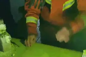 小猫掉进楼顶通风口被困，消防员自制套索耐心“钓”猫图片