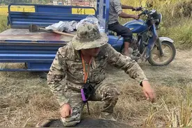 20人出资百万成立的护农狩猎队，一年捕杀野猪74头图片