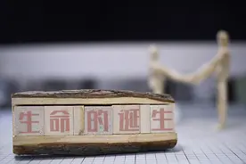新的研究挑战以往的受孕理论图片