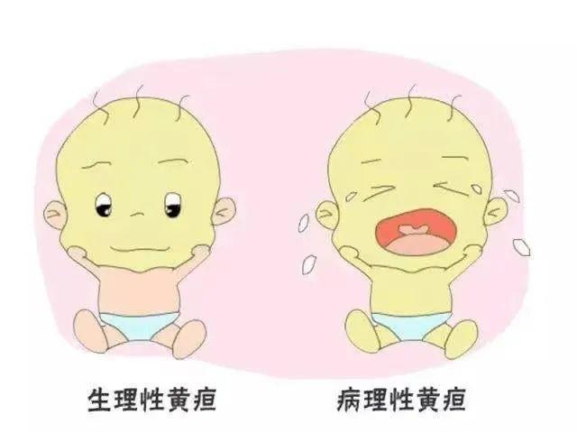 新生儿黄疸怎么办?