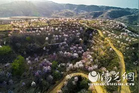 神木市沙峁镇：农旅深度融合 焕发老区风采图片