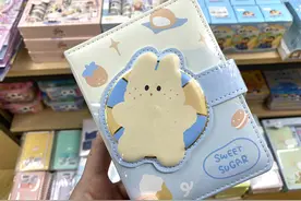 从几十元到几千元不等，“手账”从小众爱好走入大众视野图片