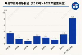 直击股东大会｜双良节能董事长缪文彬：重视负债率和风险问题，硅料降价是大概率事件图片