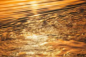 为何陈子昂“忧闷南遣”，依然孑然独立，“一扫六代之纤弱”图片