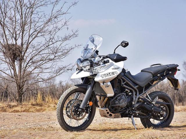 看了电控配置全拉满的凯旋Tiger 1200 水鸟野驴都不香了