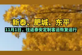 视频丨11月1日起，新泰、肥城、东平往返泰安定制客运恢复运行图片