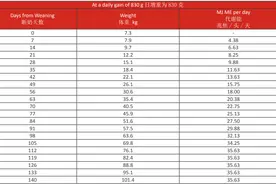 「猪译馆」丹育猪饲喂管理指南「六」图片