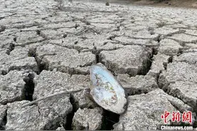 安徽未来一周降水仍不明显 多地干旱将继续发展图片