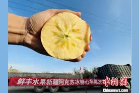 “疆果东送”千吨新疆阿克苏苹果发往全国图片