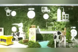 COMPANIES IN FINAL STAGE OF CIIE PREPARATIONS