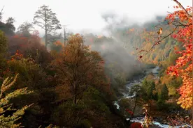 二郎山喇叭河 万物缤纷待客来图片