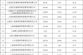 平均年薪最高24.16万元/人，云南19家省属监管企业工资信息披露图片