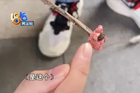 手镯：我裂了！我溜了！摄像大哥口香糖法“追击”图片