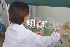 “花培工匠”十年磨一剑，助我国籼稻花药培养技术国际领先图片