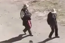 人与动物和谐相处的动人画面在玉树相古村上演图片