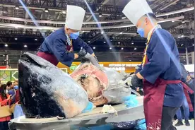 重370公斤！巨型蓝鳍金枪鱼亮相进博会图片