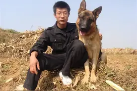潍坊犬只行为纠正师专治“差生”，19年搞定1000多条狗图片