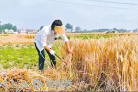 河南媳妇北漂16年回村改造老屋意外走红 包下50亩地立志做新农人图片