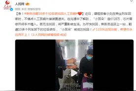 急！乘务员翻10多个垃圾袋找回人工耳蜗图片
