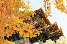 在“二十四节气”里读懂中国丨立冬：万物收藏，养蓄待发图片