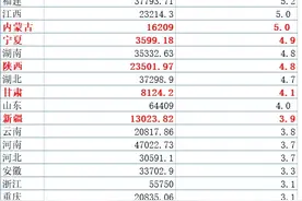 西北经济的高光时刻：GDP增速跃升至全国第一方阵图片