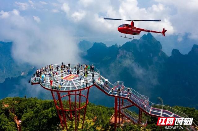 �����Ž�������ָ�����պ�