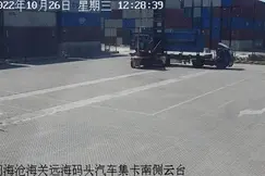 毒性比响尾蛇强10倍！厦门海关截获“黑寡妇”！还截下过这些“神奇动物”……图片