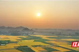 奶奶·土地图片