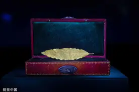 进博会观察｜“只展不卖”，意欲何为图片