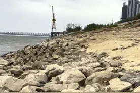 勇敢又善良！高校女生救人被咬伤仍不放手图片