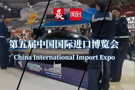 先看整排爱马仕包包还是艺术家作品？苏富比全方位升级再度亮相进博会｜进博进行时图片