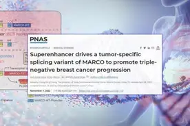 中国专家新研究：最凶险乳腺癌或有新的治疗靶点图片