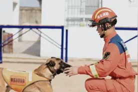 优秀的搜救犬是如何养成的？视频封面